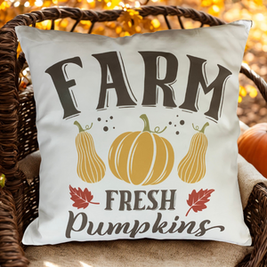 Charming Farmhouse Fall Pillow Covers