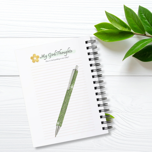 March Resilient JOY Journal Pre-Order