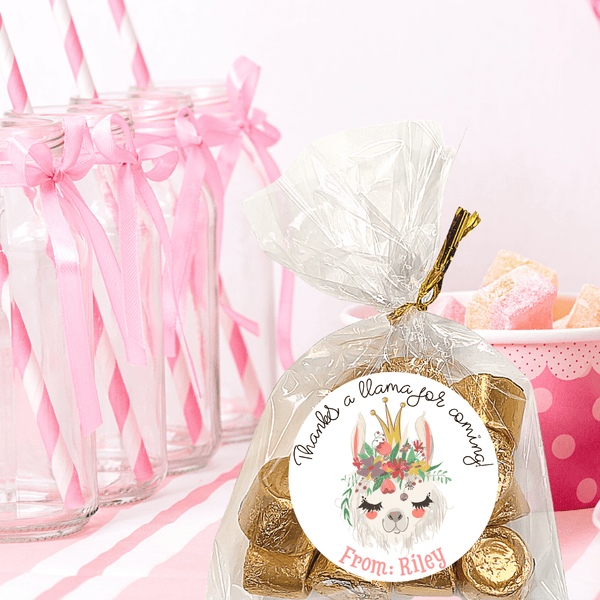 Personalized Girls Birthday Party Stickers & Treat Bags